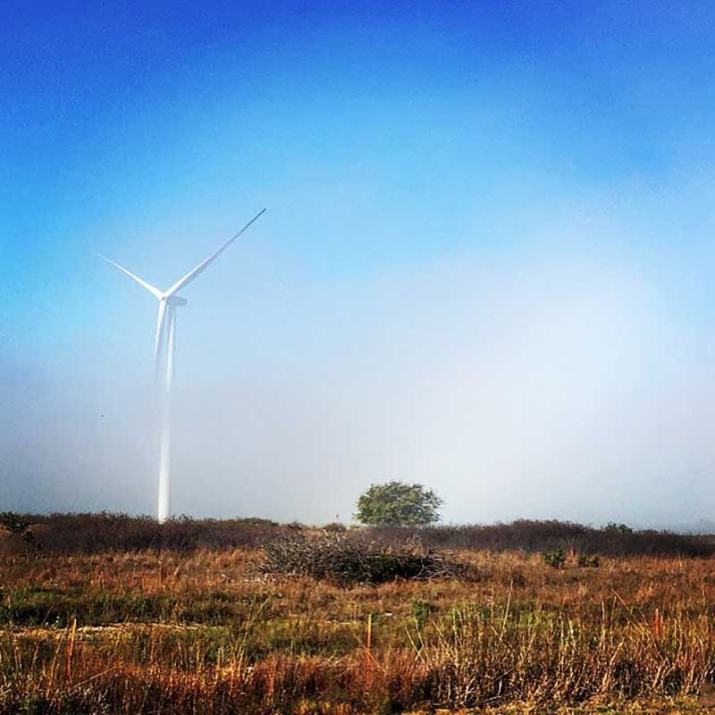 windmill in a rural field